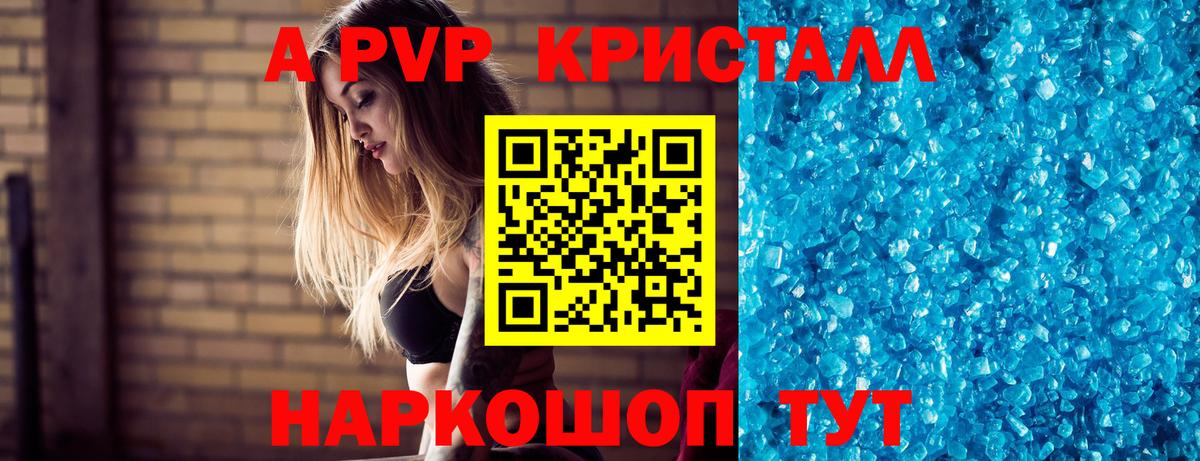 APVP СК Тамбов