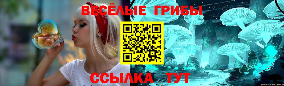Тамбов  что такое   Псилоцибиновые грибы мухоморы  Вход с VPN  Галлюциногенные грибы прущие грибы 